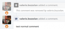 Phorge Removed Comments User Badges after.png (169×377 px, 24 KB)